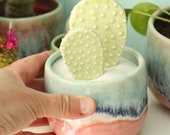 faux cactus and container un killable cactus cactus plant cactus planter