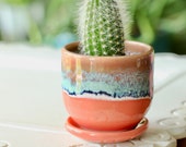 tiny coral planter succulent container boho decor small planter