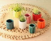 little bud vase window sill vase small vase air plant container