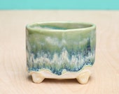 aqua plant container oval planter coastal decor