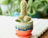 mini mango planter succulent container boho decor small planter