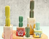 little square planter with un killable cactus window sill planter square vase