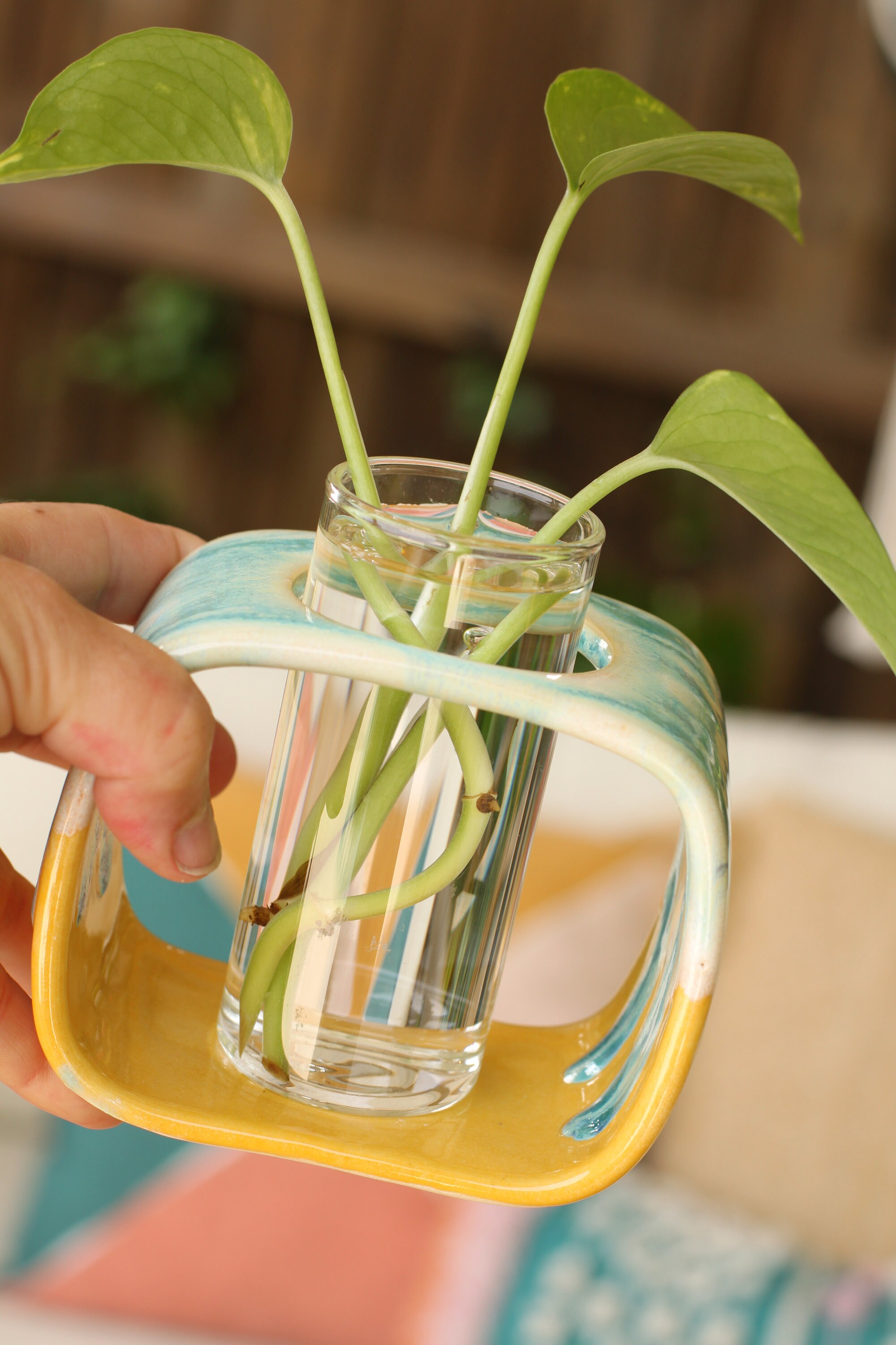 SECONDS ceramic and glass propagation vase/ propagation station