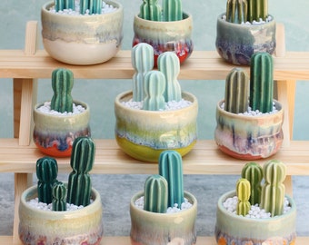 ceramic cactus and pot // faux cactus // un killable plant // cactus plant