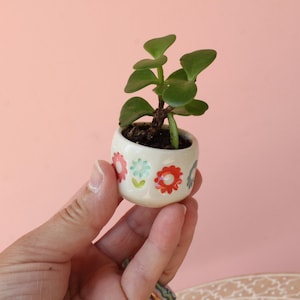 Mini porcelain planter WITH drainage hole// mini decor // small pottery planter // tiny colorful decor