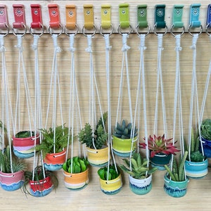 Peut inclure: Une collection de 14 pots suspendus en c&eacute;ramique color&eacute;s avec un cordon en macram&eacute;, chacun rempli d'une vari&eacute;t&eacute; de plantes vertes. Les pots sont dispos&eacute;s en rang&eacute;e sur un mur en bois.