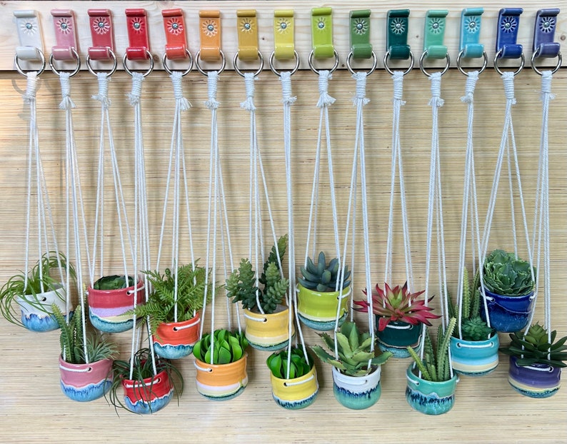 Peut inclure: Une collection de 14 pots suspendus en c&eacute;ramique color&eacute;s avec un cordon en macram&eacute;, chacun rempli d'une vari&eacute;t&eacute; de plantes vertes. Les pots sont dispos&eacute;s en rang&eacute;e sur un mur en bois.