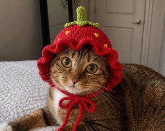Crochet Strawberry Cat Hat – Handmade Cat Hat for Medium Large Cats, Cute Cat Gift, Cat Mom Gift