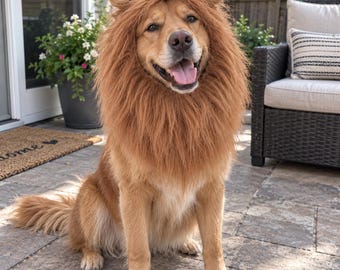 Lion Mane Dog Costume for Medium & Large Dogs, Realistic Dog Wig, Funny Pet Lion Hood, Halloween Dog Costume, Pet Cosplay Accessory