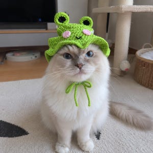 May include: A bright green crocheted hat featuring two frog eyes with black pupils and two light pink circular cheeks. The hat has a wide, wavy brim and includes two thin green strings that tie under the chin to secure the accessory in place.
