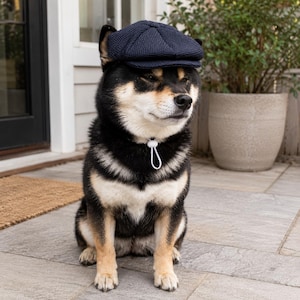 Baskerhatt för husdjur, justerbar skärmmössa för hund och katt, herrkostym för husdjur, huvudbonad för födelsedagsfest