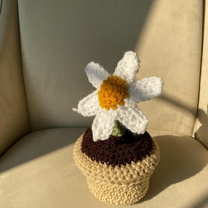 Crochet daisy, Amigurumi flower, Crochet Flower, Faux plant, Aesthetic Flower decor, Home Decor, Crochet Plants,  Handmade Gift,