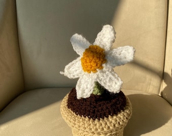 Crochet daisy, Amigurumi flower, Crochet Flower, Faux plant, Aesthetic Flower decor, Home Decor, Crochet Plants,  Handmade Gift,