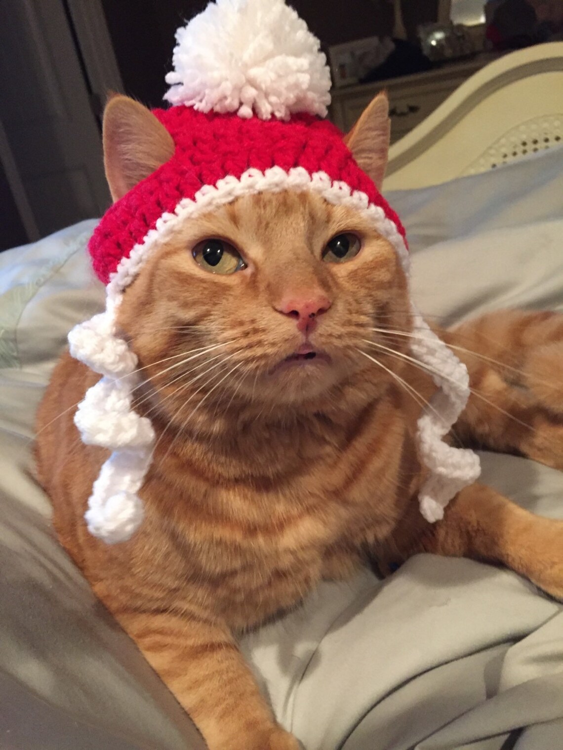 Crochet Christmas Santa Beanie Hat For Cat or Small Dog | Etsy