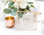 Handwritten Calligraphy Wedding/Event Table Numbers
