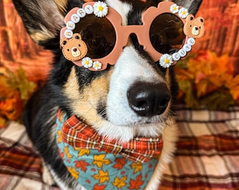 Bear-Themed Dog Sunglasses: Daisy, Bear Charms