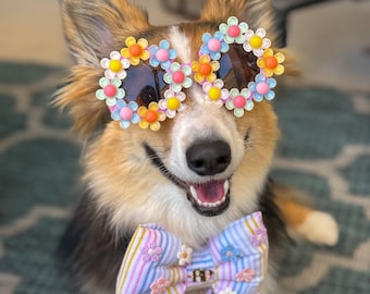 Daisy Dazzler Sunglasses