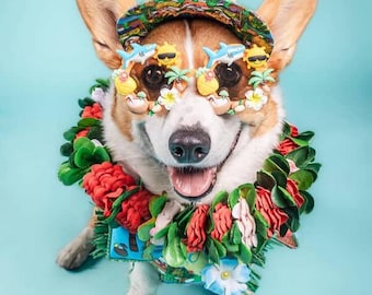 CUSTOM- DESIGN/THEME Dog Sunglasses
