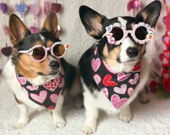 Big Flirt and Lil Flirt Valentine’s Day Pet Sunglasses