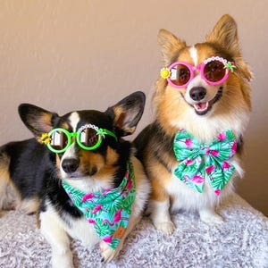 SUMMER SQUAD SHADES