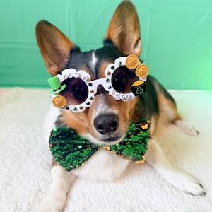 May include: A dog wearing St. Patrick's Day themed accessories. The dog has on white sunglasses with the words "POT O' CUTE", a green top hat, and gold coin accents. A green sequined bow tie completes the festive look.