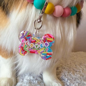 May include: A colorful pet collar with a bone-shaped tag that reads "CLOVER." The tag is filled with sprinkles and colorful letters. The collar is made of large, round beads in shades of pink, yellow, and teal. The pet's fur is white, brown, and black.