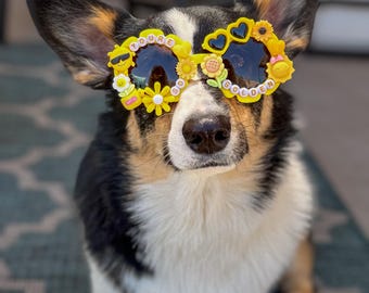 You’re So Golden Sunglasses