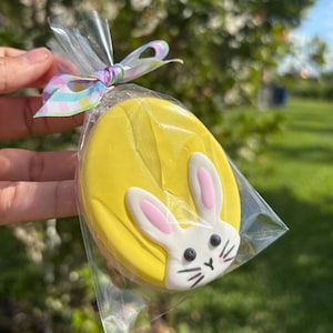 FREESHIP/ Easter cookies • Easter cookies decorated • Bunny cookies • Easter gift • Easter bunny • decorated easter cookies • cookies easter