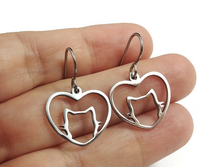 Titanium DANGLE earrings