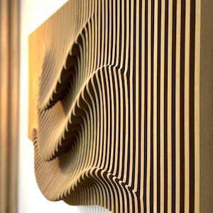 New Design Parametric Wall Art, Large Wall Art