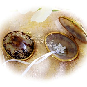 Beach Wedding Seashell Ring Box, Hawaiian Limpet Pearlized Shell, Set of two.