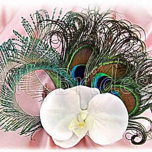 Peacock wedding hair clip,  bridal fascinator whith white orchid.
