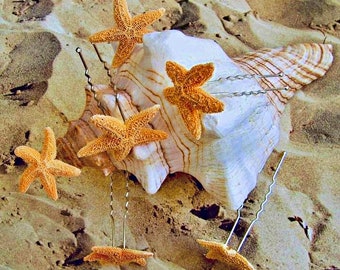 Starfish hair pins, beach wedding bridal or bridesmaids starfish hair pins, real sugar starfish