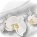 see more listings in the Hair Accessories, Bouts section