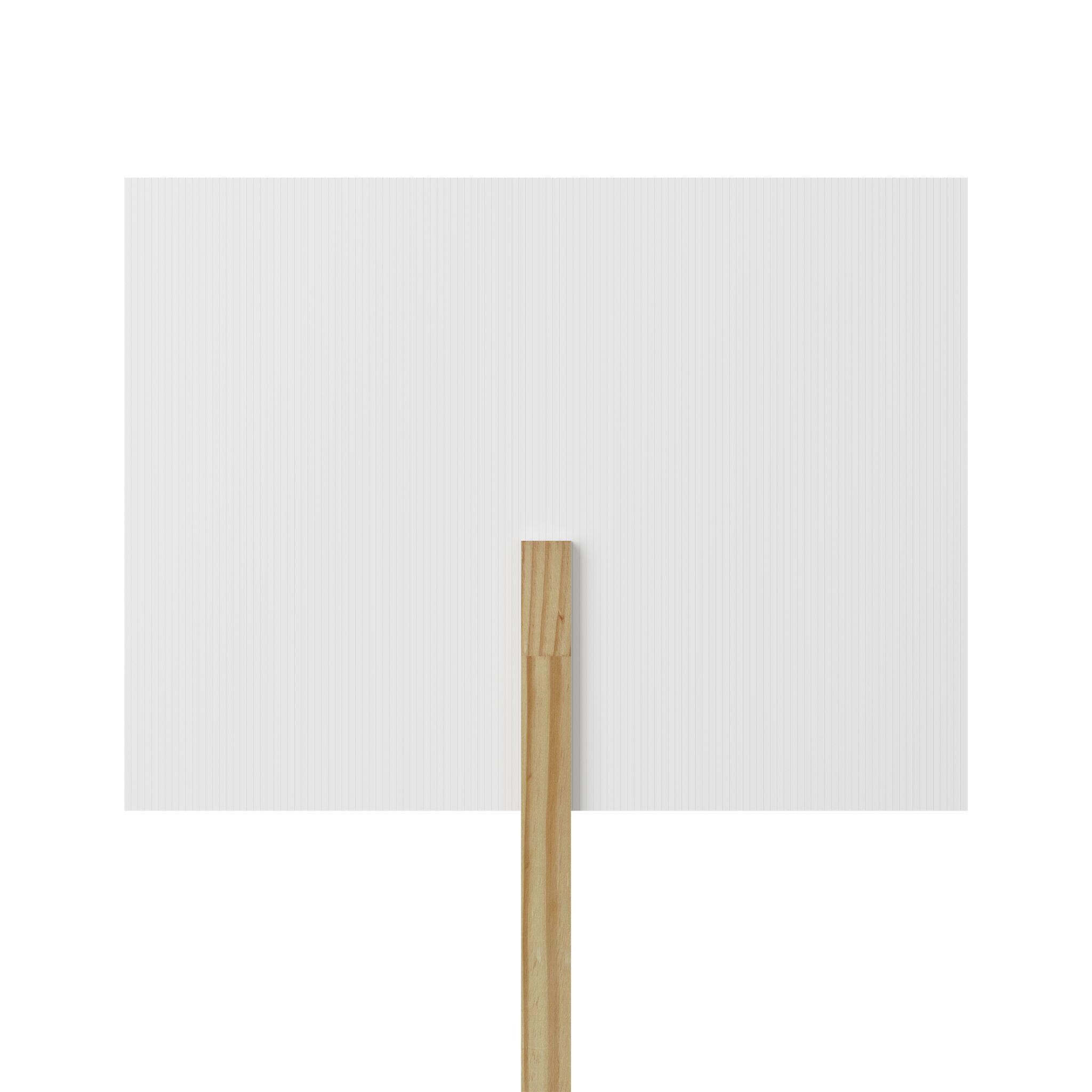 Sample Rally Placards Custom Protest Sign Poster, Rally Placard, Personalized Demonstration ...