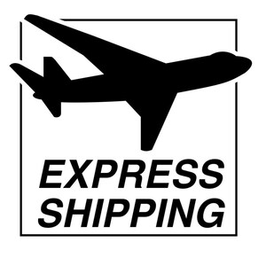 Spedizione espressa