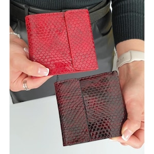 Cartera pequeña de piel con estampado de pitón en rojo, verde, burdeos y marrón. Minicartera plegable con tarjetero y bolsillo para monedas. Cartera cuadrada triple para mujer.