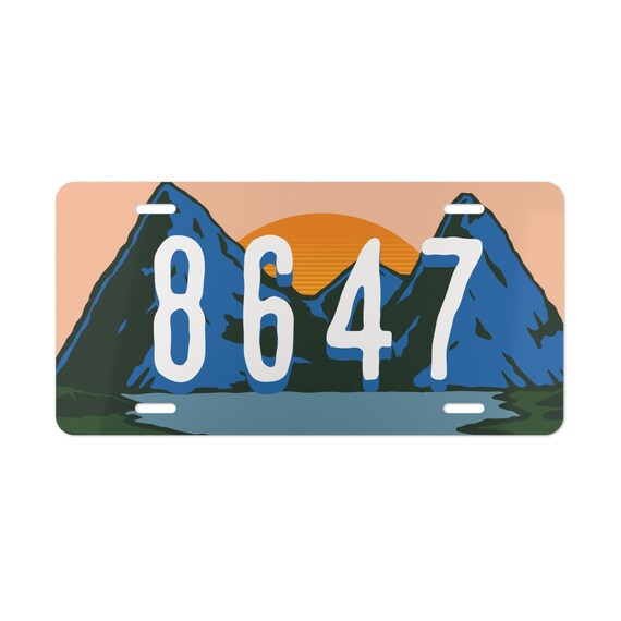 Subtle Anti Trump 8647 Front Vanity License Plate, Protect Save