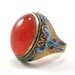 Owner of <a href='https://www.etsy.com/shop/paleorama?ref=l2-about-shopname&from_page=listing' class='wt-text-link'>paleorama</a>