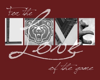 Missouri State Bears "For the Love of the Game" Photographic Print