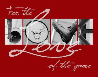 Chicago Bulls "For the Love of the Game" Photographic Print