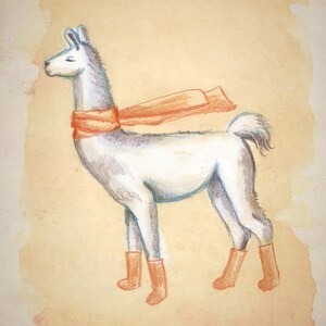Cozy Llama wearing Orange Socks and Scarf Animal Illustration Art Print