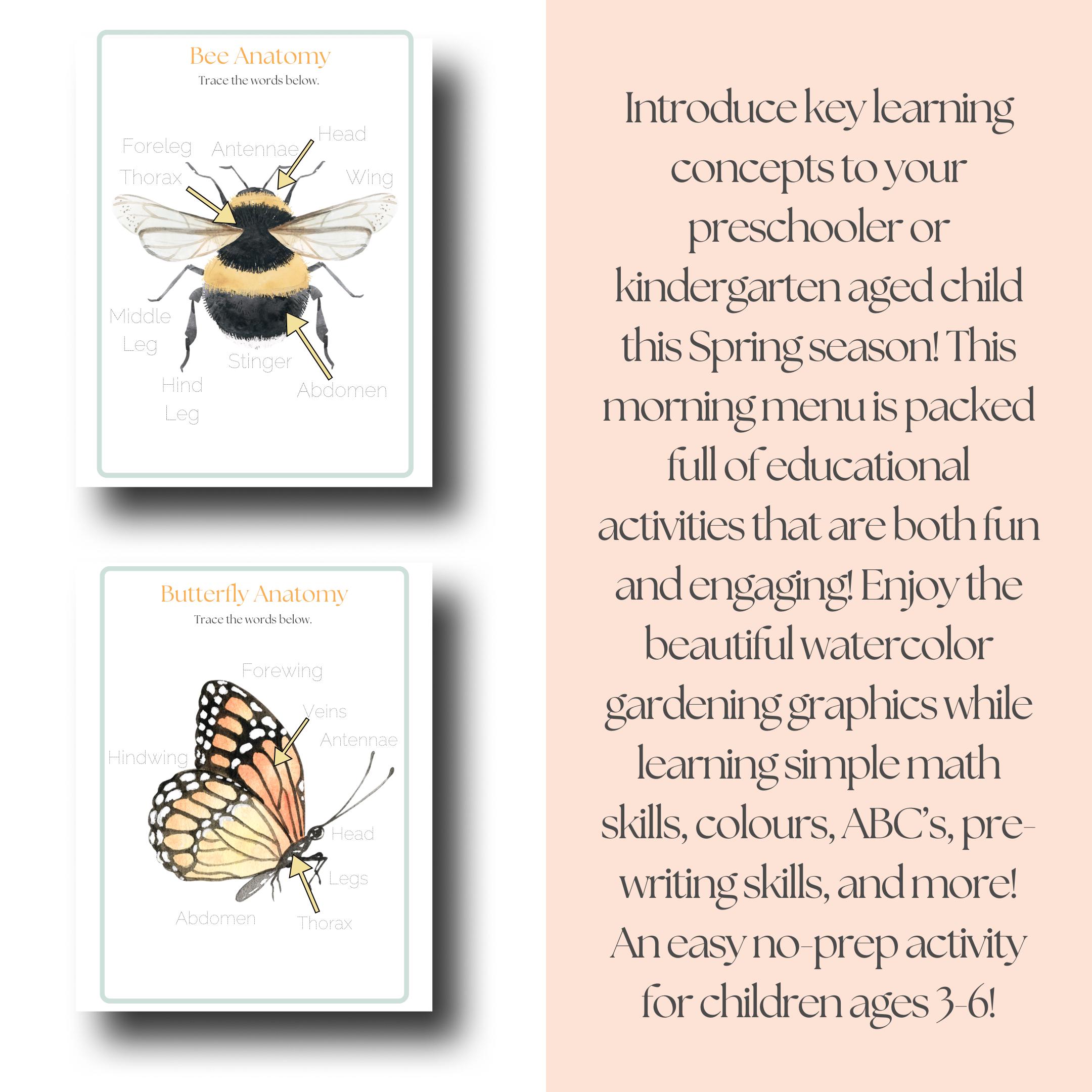 Pollinator Garden Morning Menu | Preschool Kindergarten | Morning ...