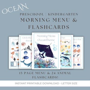 Menu du matin sur le thème de l'océan d'été | Flashcards animaux marins | Menu du matin pour la maternelle | Panier matin océan