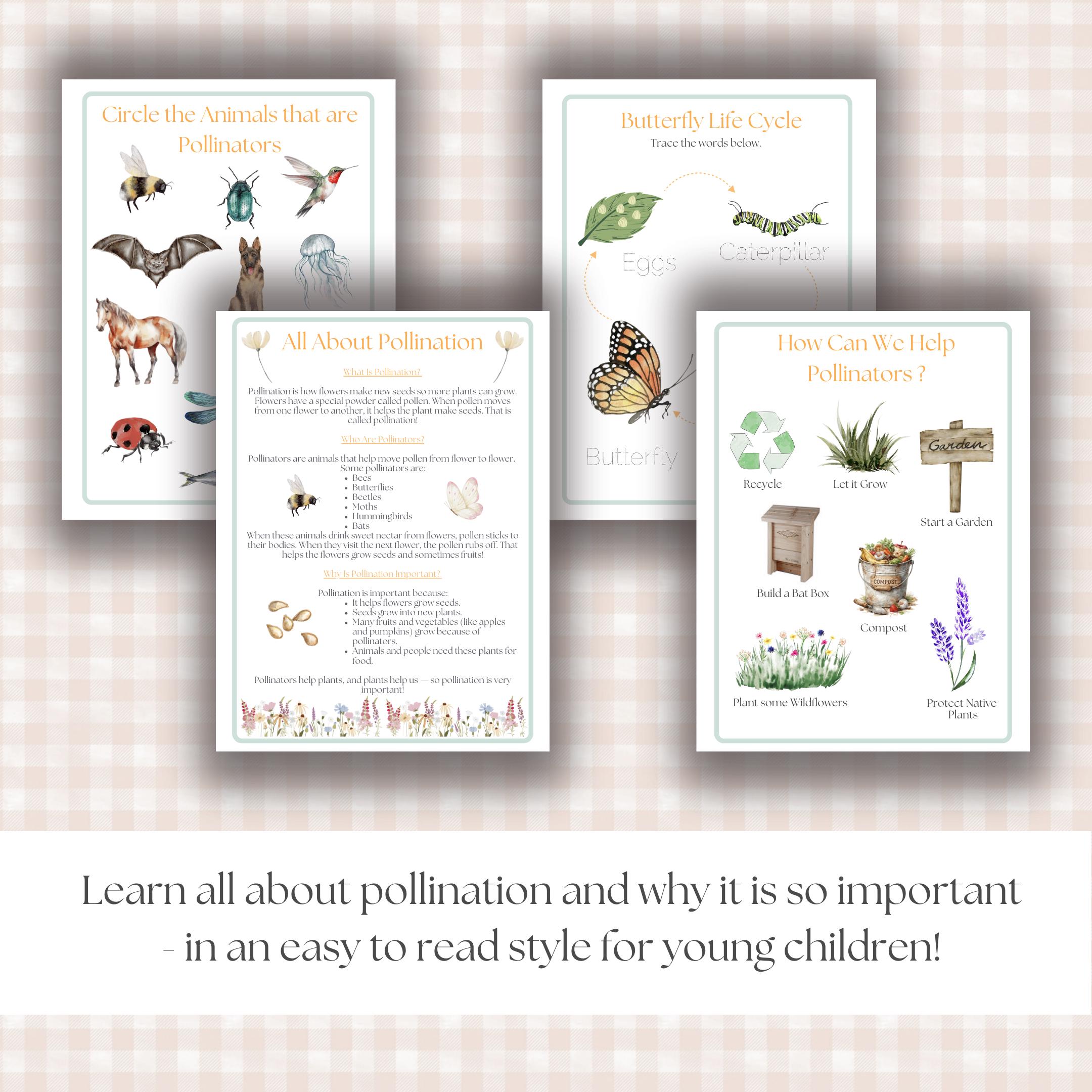 Pollinator Garden Morning Menu | Preschool Kindergarten | Morning ...