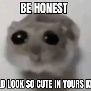 May include: Image of a blurry, gray creature with large, dark eyes. Text at the top reads "BE HONEST" and at the bottom, "THIS WOULD LOOK SO CUTE IN YOURS KIDS ROOM."