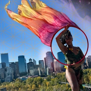 Velo de seda de aro *Velo individual prefabricado, listo para enviar. No incluye aro. Compatible con aros abatibles de tubo de 1,27 cm a 1,68 cm. Lea la descripción del artículo.