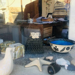 a window display of sea shells and other items