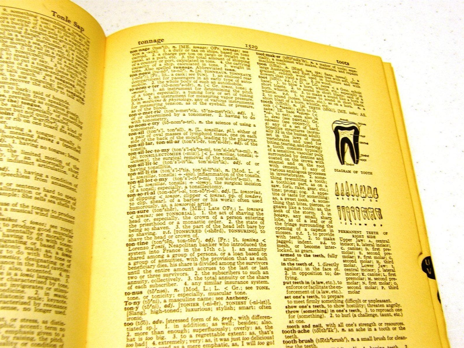Enormous Dictionary 1951 Webster s New World Dictionary Etsy
