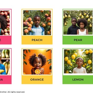 24 Interactive Fruit Picture Cards - Fun Learning Tool for Toddlers, Instant Download Montessori Flashcards (Digital Download)